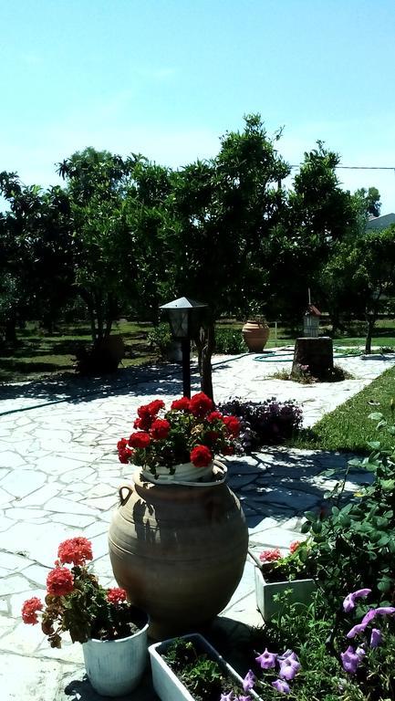 Apartmán Nireas Nea Skioni Exteriér fotografie