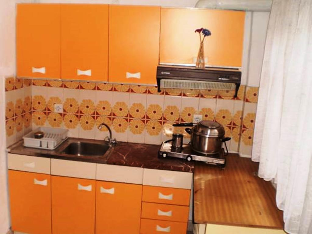 Apartmán Nireas Nea Skioni Pokoj fotografie