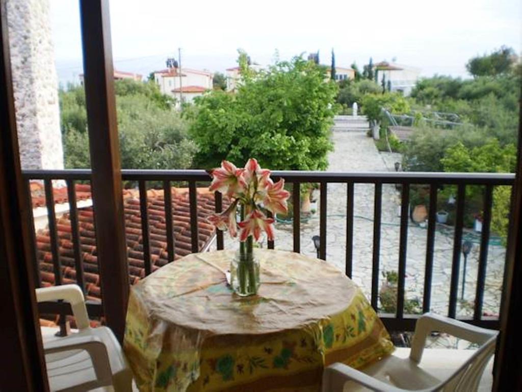 Apartmán Nireas Nea Skioni Pokoj fotografie